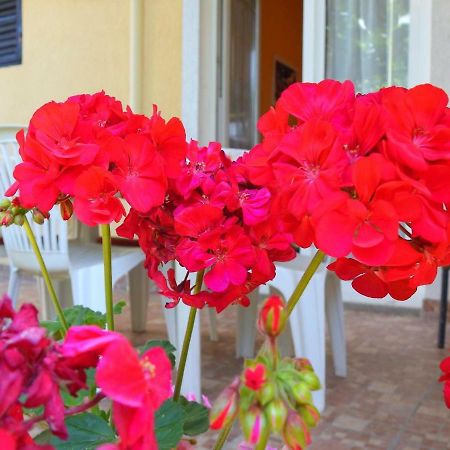 Apartment Girasole Rovinj Exteriér fotografie