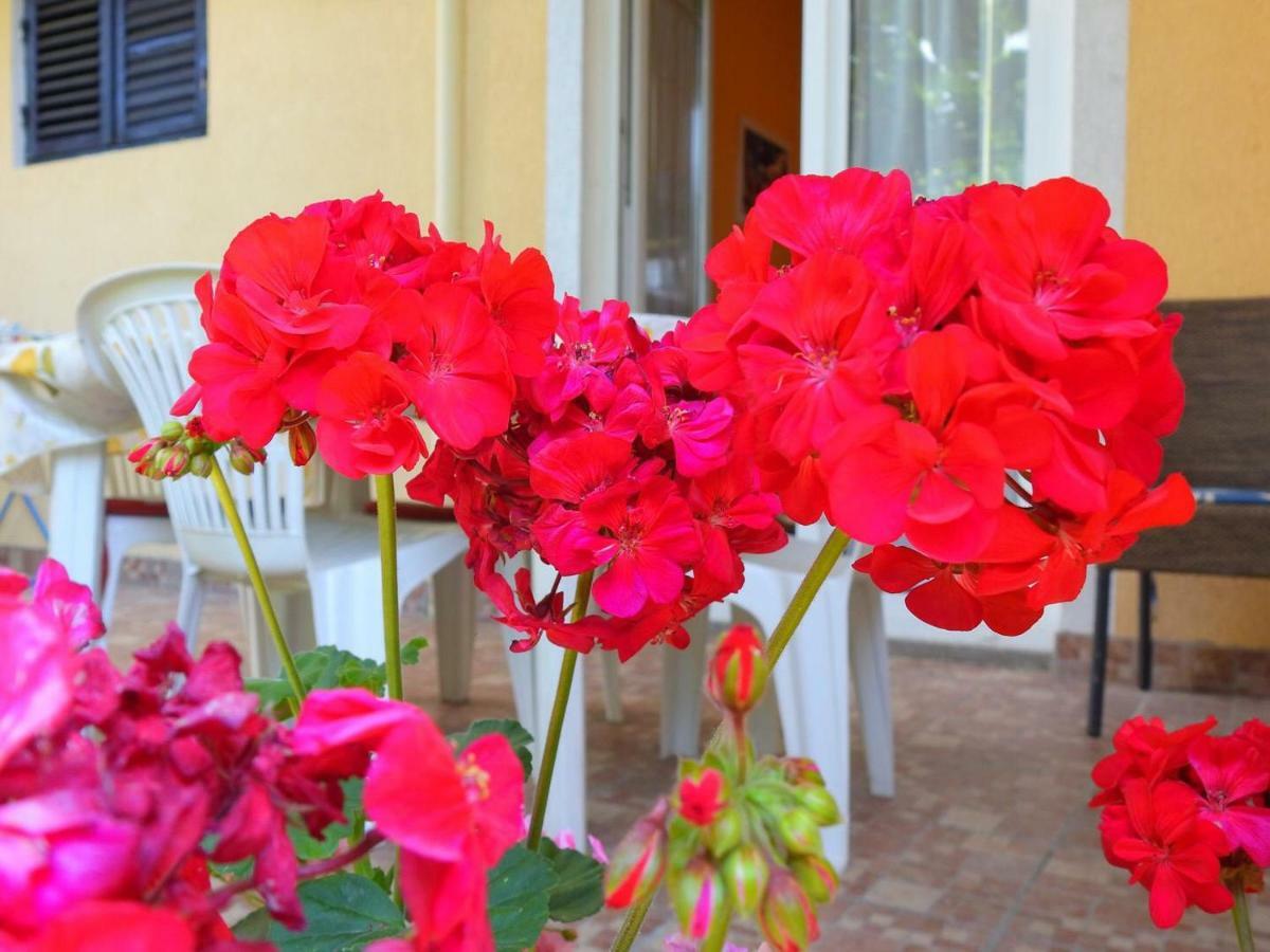 Apartment Girasole Rovinj Exteriér fotografie